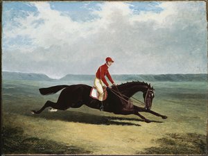 Baron Bumpy Upin kanssa Newmarketissa tekijältä John Frederick Herring Senior