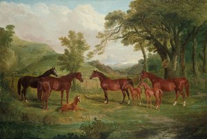 Streatlam Stud, tammat ja varsat, 1836