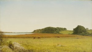 Almyn lampi, Newport tekijältä John Frederick Kensett