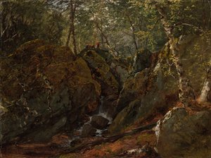 Catskillvuorten vesiputous tekijältä John Frederick Kensett