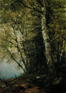 Pyökkitutkimus, 1872. tekijältä John Frederick Kensett