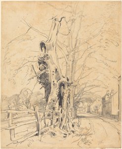 Puita säleaidan vierellä tekijältä John Frederick Kensett
