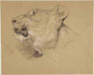 Naarasleijonan pää tekijältä John Frederick Lewis