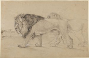 Leijonat tekijältä John Frederick Lewis