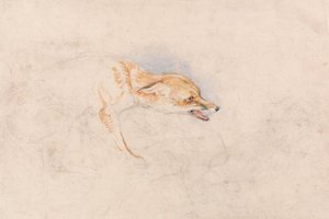 Tutkimus kyykistyvästä ketusta, joka katsoo oikealle. tekijältä John Frederick Lewis