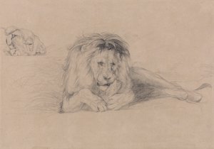 Tutkimus leijonasta ja lionessin pää tekijältä John Frederick Lewis