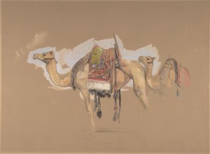 Kaksi kamelia, n. 1843. tekijältä John Frederick Lewis