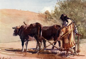 Kyntö Öljymäellä, 1902. tekijältä John Fulleylove