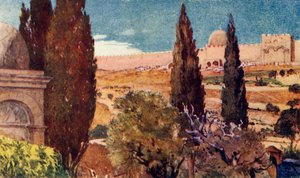 Getsemanen puutarhan sypressit, 1902. tekijältä John Fulleylove