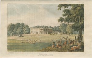 Trentham Hall: värillinen litografia, nd [c 1824] (painettu) tekijältä John Gendall