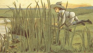 Ankkapoika ampuu (väri litho)