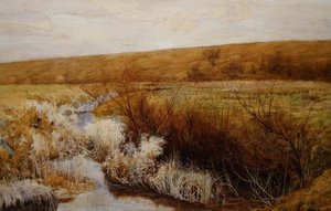 Niitty talvella tekijältä John George Sowerby