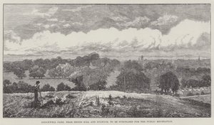 Brockwell Park, lähellä Herne Hilliä ja Dulwichia, ostetaan julkista virkistystä varten tekijältä John Gilbert