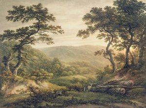 Needlewood Forest, Hampshire (akvarelli paperille) tekijältä John Glover