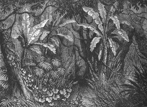 Pensassa, 1880