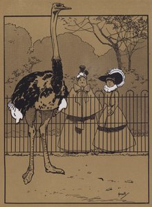 Strutsin höyhenet (väri litho) tekijältä John Hassall