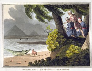 Egyptiläisten krokotiilien pyydystäminen, kaiverrus Matthew Dubourg (fl.1785-1820), julkaisija Edward Orme