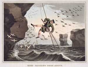 Lintujen pyydystäminen ylhäältä, kaiverrus Matthew Dubourg (fl.1785-1820), julkaisija Edward Orme, 1813 tekijältä John Heaviside Clark