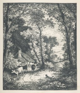 Levy 21. Nauta, "Nature Pictures":stä, J. H. Dellin puulle piirtämä ja R. Patersonin kaivertama 30 alkuperäisen kuvituksen sarja. John Henry Dell