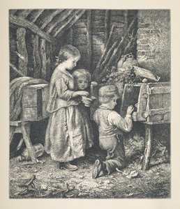 Levy 27. Lapset, Nature Picturesista, 30 alkuperäisen J. H. Dellin puulle piirtämän ja R. Patersonin kaivertaman kuvituksen sarja. John Henry Dell