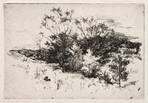 Syksyinen maisema, 1879-80. tekijältä John Henry Twachtman