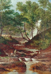 Cat Holes Dam Fall Todmordenissa, 1870