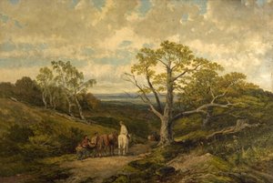 Näkymä Sherwood Forestissa, Nottinghamshiressä