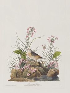 Kuvitus kirjasta 