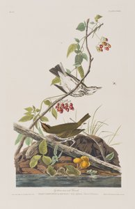 Kuvitus kirjasta 