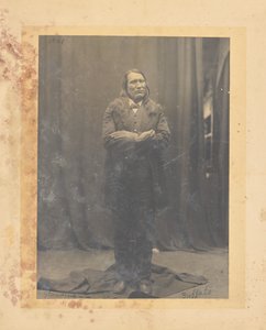 Stehender Büffel tekijältä John K. Hillers