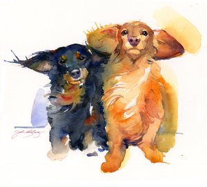 Dacshund Duo, 2014, (akvarelli)