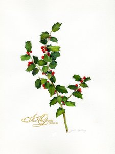 Holly botanical, 2013, (akvarelli) tekijältä John Keeling