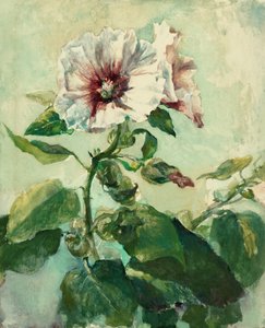 Study of Pink Hollyhocks in Sunlight, luontoa luonto tekijältä John La Farge