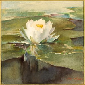 Vesililja auringonvalossa tekijältä John La Farge