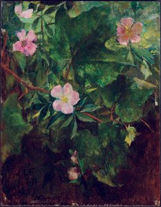 Villiruusu ja viiniköynnös, tutkimus luonnosta, 1871 tekijältä John La Farge or Lafarge