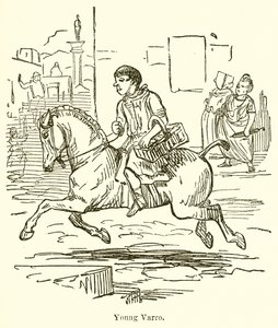 Nuori Varro