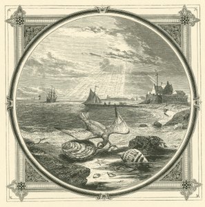 Purru purru (kaiverrus) tekijältä John Leighton