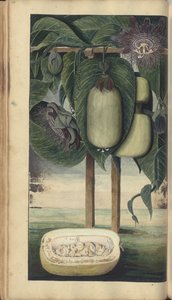Sivu 