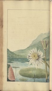 Sivu 