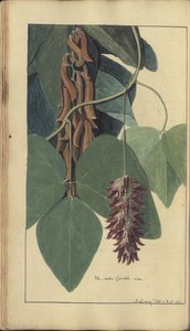 Sivu 