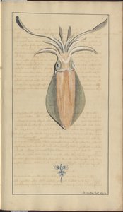 Lindsay Drawings Voi. VII, 29 tekijältä John Lindsay
