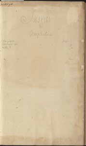 Lindsay Drawings Voi. VI, etukappale tekijältä John Lindsay