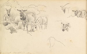 Aasit, 1824