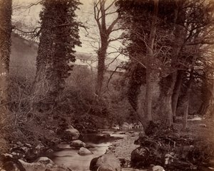 Nimetön, c. 1859. tekijältä John Lloyd