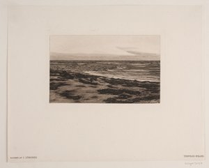 Tisvilden ranta