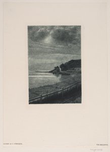Bellevuessa