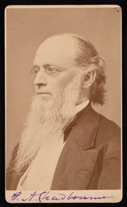 Paul Ansel Chadbournen muotokuva 1823-1883, 1872-1875. tekijältä John Lyman Lovell
