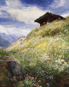 Alppien niitty, Sveitsi,