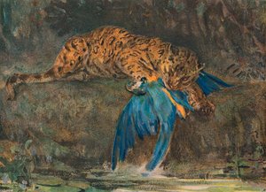 Jaguaari ja ara, 1800-luvun loppu