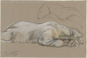 Makaavan jääkarhun tutkimukset tekijältä John Macallan Swan